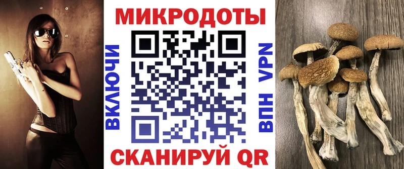 Галлюциногенные грибы Cubensis как найти закладки Приозерск